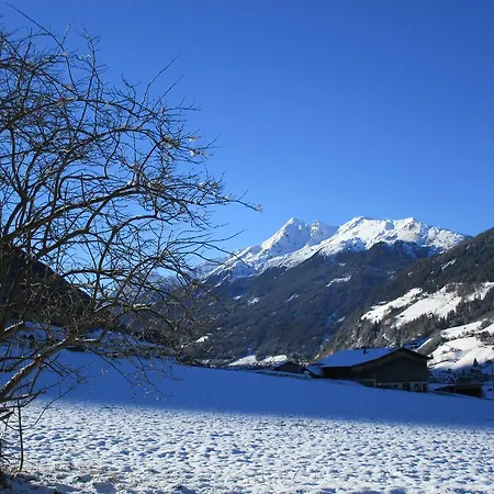 Nockhof *